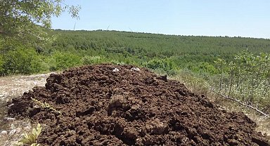 Bornova’da çiftçiye gübre desteği