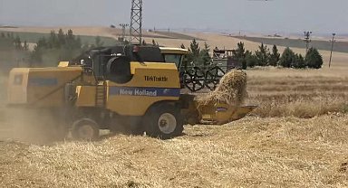 Buğdayın ana vatanı Diyarbakır’dan hububat alım fiyatına tepki: Maliyeti bile karşılamıyor. Çiftçi kara kara düşünüyor