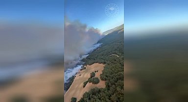 Çanakkale'de tarihi yarımadadaki orman yangını 18 saattir söndürülemedi