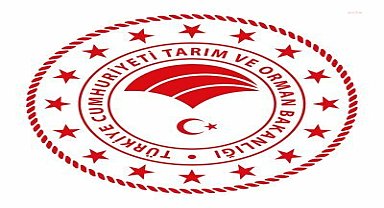 Çanakkale'deki orman yangını kontrol altına alındı... Tarım ve Orman Bakanı Yumaklı: