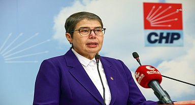 CHP Genel Başkan Yardımcısı Şahbaz, Sağlık Bakanı Koca ile görüştü