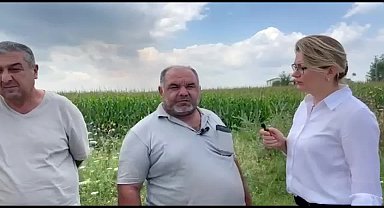 CHP'li Asu Kaya, Tarım ve Orman Bakanı Yumaklı'ya sordu: