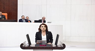 CHP'li Kış'tan Bakan Bolat'a: