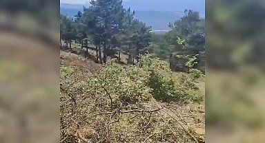 CHP’li Orhan Sarıbal Bursa'da siyanürle altın aranmasına tepki gösterdi: