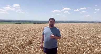 CHP'li Yazgan’dan buğday alım fiyatına tepki:
