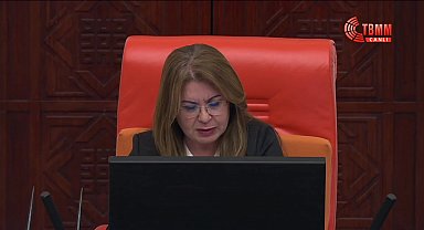DEM Parti'den Hakkari'ye kayyum atanmasına tepki... Koçyiğit: