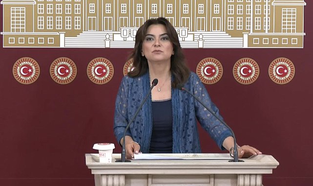 DEM Parti’den Tahir Elçi için 12 Haziran çağrısı: