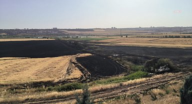 Diyarbakır’da buğday ekili 150 dönüm alanda çıkan yangın söndürüldü
