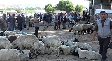 Diyarbakır’daki besiciler bu bayram umduğunu bulamadı