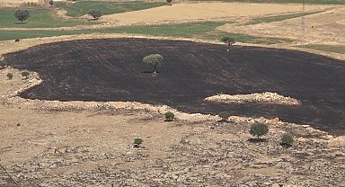 Diyarbakır ve Mardin arasında çıkan yangında soğutma çalışmaları tamamlandı