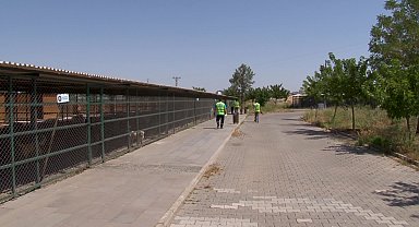Diyarbakır ve Mardin’deki yangından kurtarılan hayvanların tedavisi sürüyor