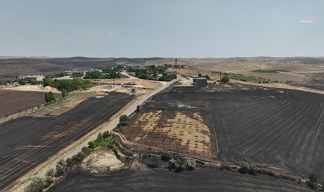 Diyarbakır ve Mardin’deki yangının olay yeri raporu: ''Yangın elektrik tellerinden kaynaklı''