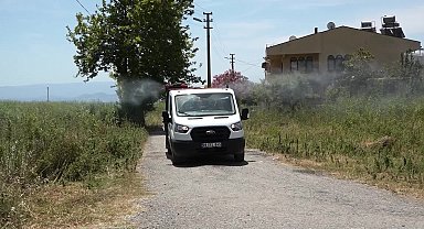 Edremit’te ilaçlama çalışmaları devam ediyor 