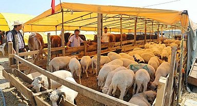 Emniyet Genel Müdürlüğü'nden kurban dolandırıcılarına karşı uyarı: