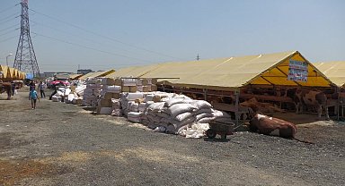 Esenyurt Belediyesi’nden kurbanlıklara sıkı denetim