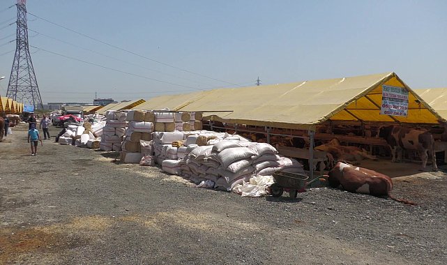 Esenyurt Belediyesi’nden kurbanlıklara sıkı denetim