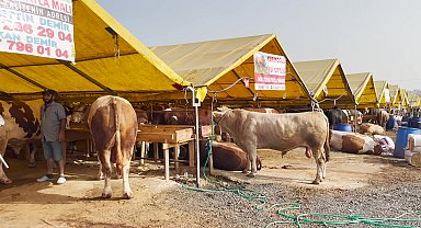Esenyurt’ta hayvansal atıklardan organik gübre elde ediliyor