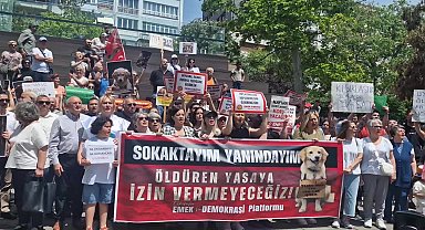 Eskişehir Emek ve Demokrasi Platformu: “Hiçbir canlının yaşam hakkı elinden alınamaz”