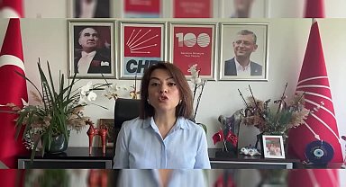 Gamze Taşcıer, ILO toplantısındaki sözleri nedeniyle Bakan Işıkhan'ı eleştirdi: Bakanı emekçinin gerçekleriyle yüzleşmeye çağırıyoruz