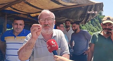 Hopalı besici: