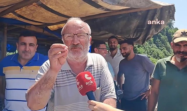 Hopalı besici: