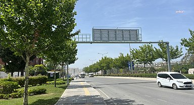 İzmir'de ağaçlar taşınarak koruma altına alınacak