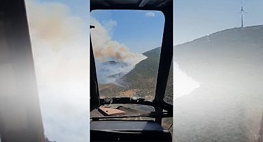 İzmir Urla'da orman yangını