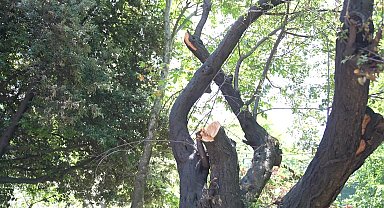 Kadıköy’de vandallar tarafından yakılan park yenilendi