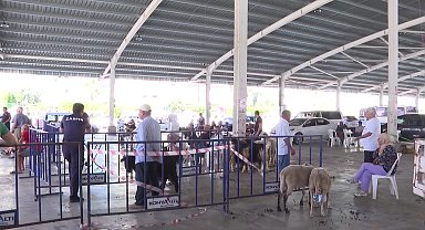Konyaaltı Belediyesi’nden üç noktada kurban kesim hizmeti