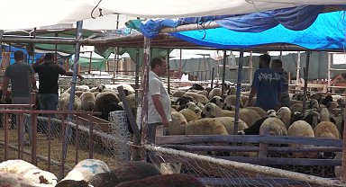 Kurban satıcıları umduğunu bulamadı: Yüzde 90 zarar edeceğiz