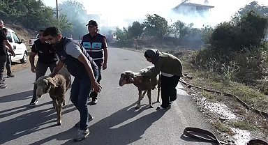 Manavgat’ın Evrenseki ve Kızılağaç mahallelerinde çıkan yangınlar kontrol altına alındı