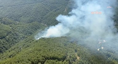 Manavgat yangını kontrol altına alındı