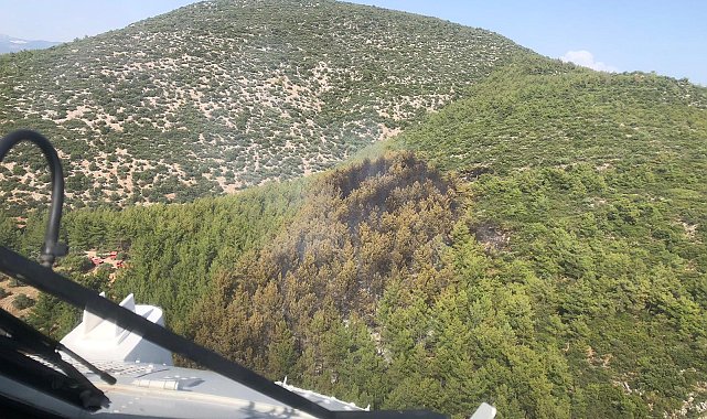 Milas'taki orman yangını kontrol altında, 2 hektar alan zarar gördü