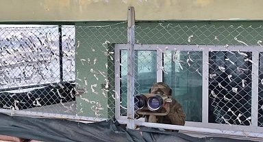 MSB, Yunanistan'a yasa dışı yollardan geçmeye çalışan 7 şahsın Edirne’de yakalandığını duyurdu