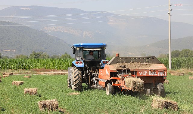 Muğla Büyükşehir üretiyor, üreticinin yüzü gülüyor