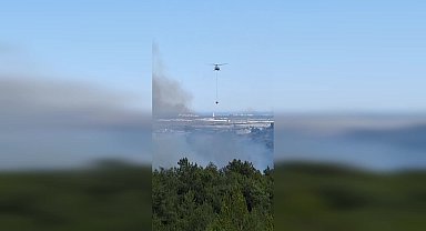 Muğla Milas'ta orman yangını
