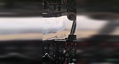 Muğla Milas'ta orman yangını
