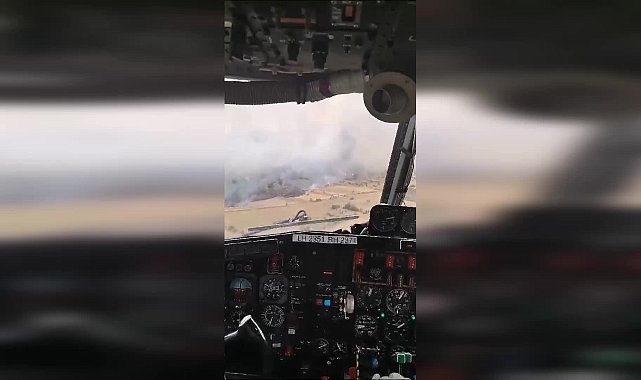 Muğla Milas'ta orman yangını