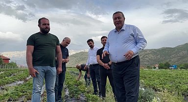 Niğdeli çiftçi: