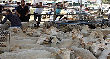 Ödemiş Belediyesi Kurban Bayramı'na hazırlanıyor