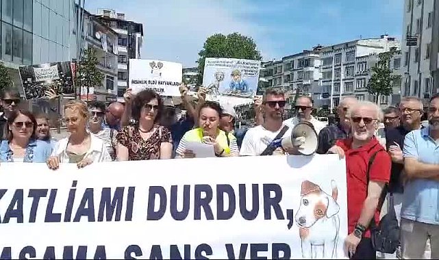 Ordu Demokrasi Platformu, sokak hayvanları için hazırlanan yasa teklifini protesto etti