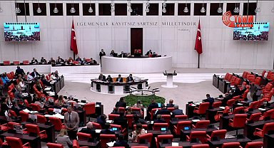 Osman Gökçek'in Türkan Elçi'ye ilişkin sözleri TBMM'de gerilimi arttırdı....