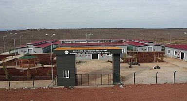 Şanlıurfa Belediyesi'nden 'kuduz' açıklaması: 