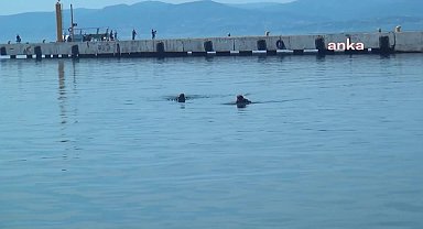 Sinop’ta yapılan deniz dibi temizliğinde araç lastiklerinden, ayakkabı ve uçurtmaya kadar bir çok atık çıkarıldı