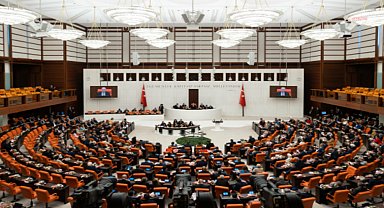 Sokak hayvanlarıyla ilgili yasa teklifinde 