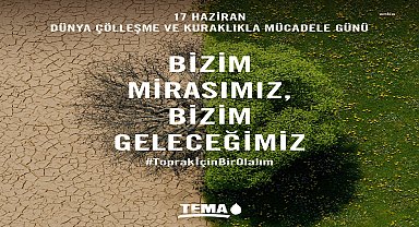 TEMA Vakfı: “Ülkemizde 2012-2023 yılları arasında yaklaşık 410 bin hektar orman alanı kaybedildi”