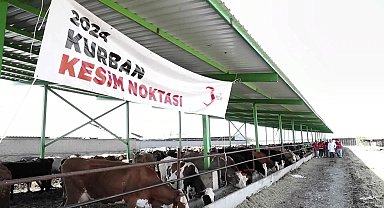 Türk Kızılay, 146 bin 683 hisse kurban kesimiyle Türkiye dahil 21 ülkede 4,2 milyon ihtiyaç sahibine ulaşacak