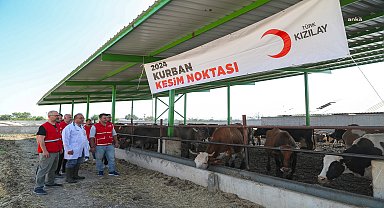 Türk Kızılay, yurt içinde ve 19 ülkede kurban kesimlerine başladı