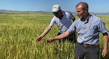 Utku Çakırözer, buğday üreticilerini ziyaret etti: 