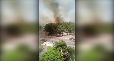 Yangından etkilenen çocuklar, Konyaaltı Belediyesi'ne sığındı